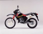 2001 Kawasaki KMX 125 photo